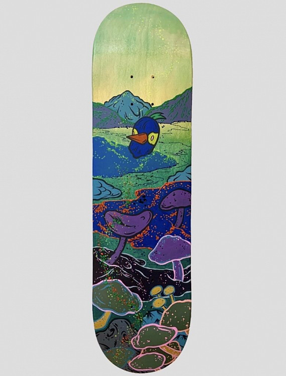 Gallery image: Parrot Sun | 2019 | acrylic on skateboard | 20 x 80 cm