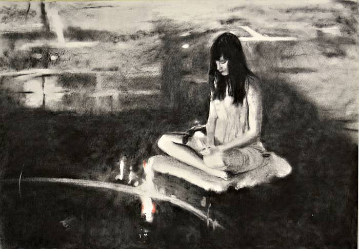Gallery image: Study IV | 2012 | pastel on Fabrino | 70 x 100 cm