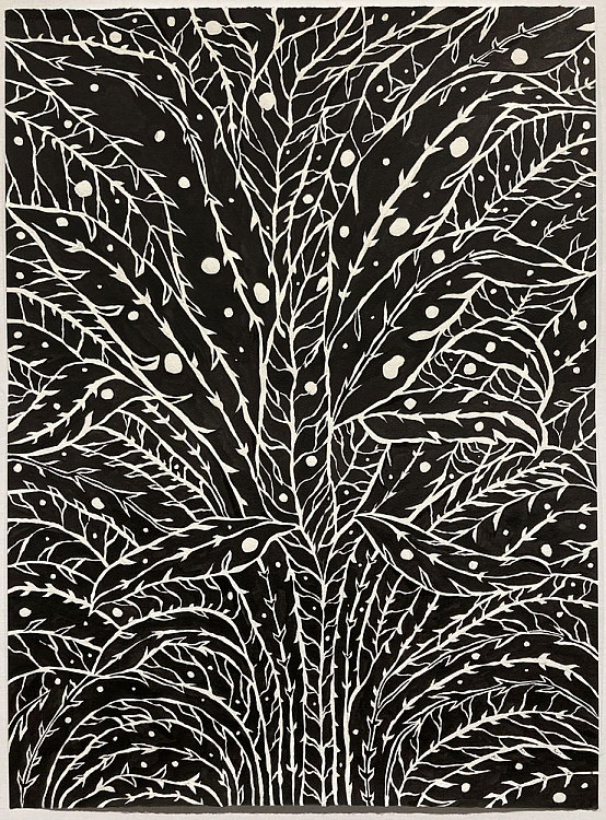 Gallery image: Banana Tree | 2020 | ink on paper | 58x76 cm